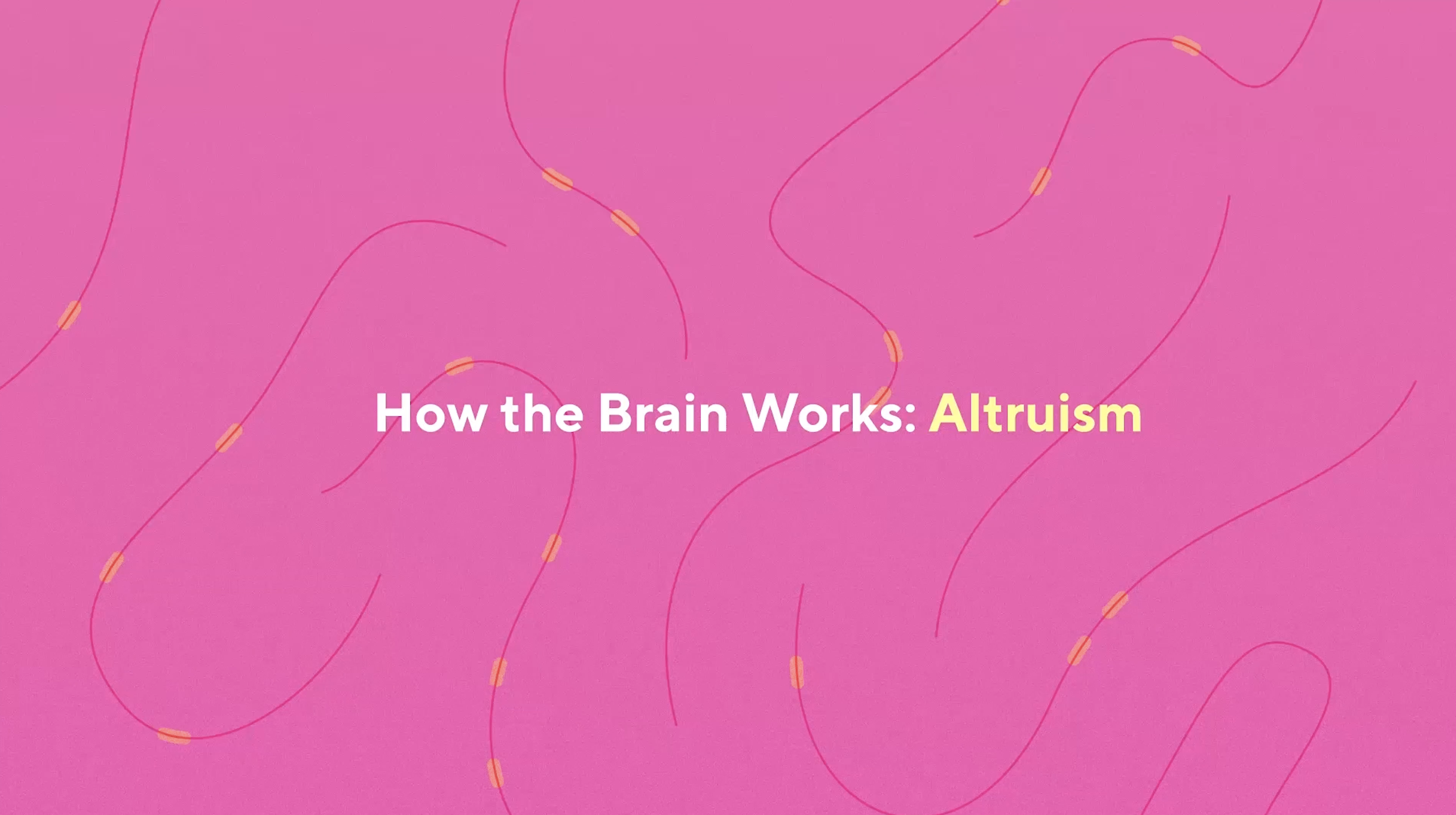 how the brain works altruism