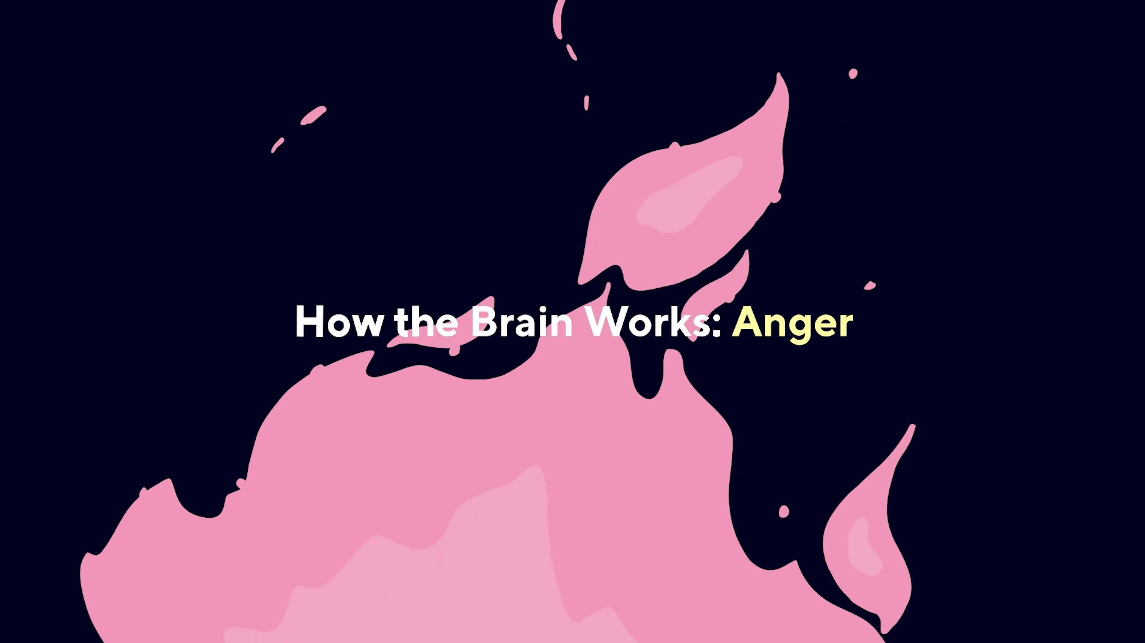how the brain works anger